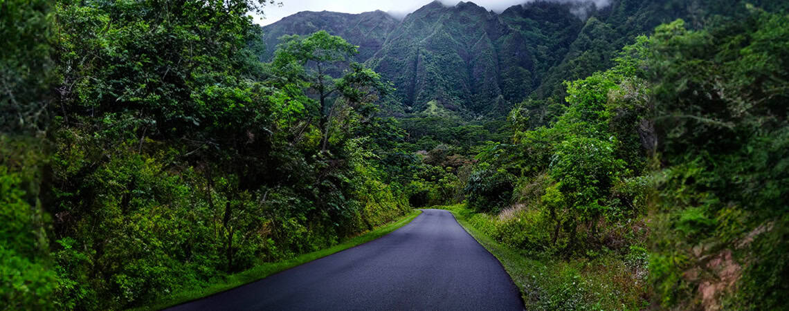 Road leading to mountains in Hawaii.